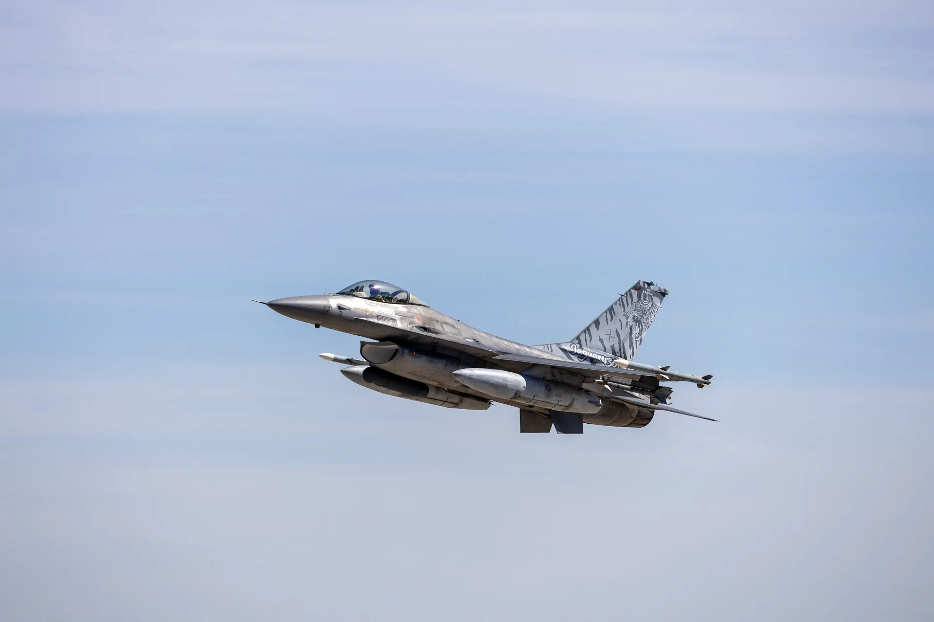 參與北約跨國聯合軍演的葡萄牙現役F-16戰機。（翻攝自葡萄牙空軍）