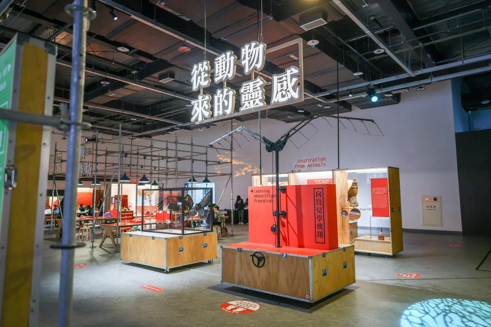 仿生展帶領觀眾探索萬物演化中蘊藏的生活智慧與科技啟發，現場還有挑戰工作坊，讓民眾在實作中激發創意。(圖／桃園市政府提供)