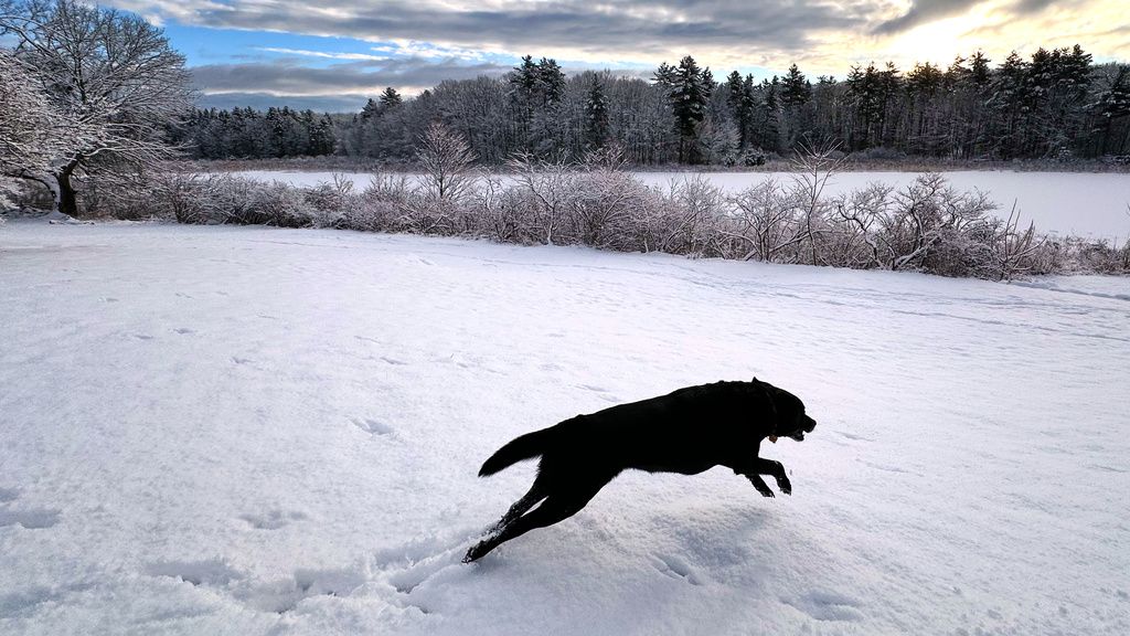美國東北部新罕布夏州也被降雪覆蓋。（美聯社）
