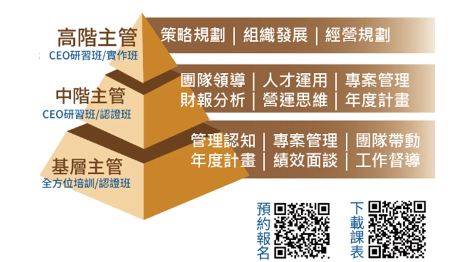 聯聖企管以「領導力發展藍圖」為核心，依基層、中階與高階主管分層培育，系統化打造企業永續領導力。（圖：聯聖集團提供）