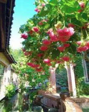 20260102-（ 華陶窯提供）