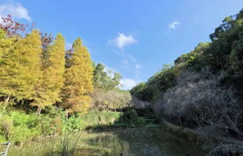 20260102-（ 華陶窯提供）