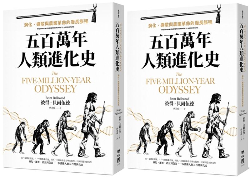 《五百萬年人類進化史：演化、擴散與農業革命的漫長旅程》立體書封。（聯經出版）