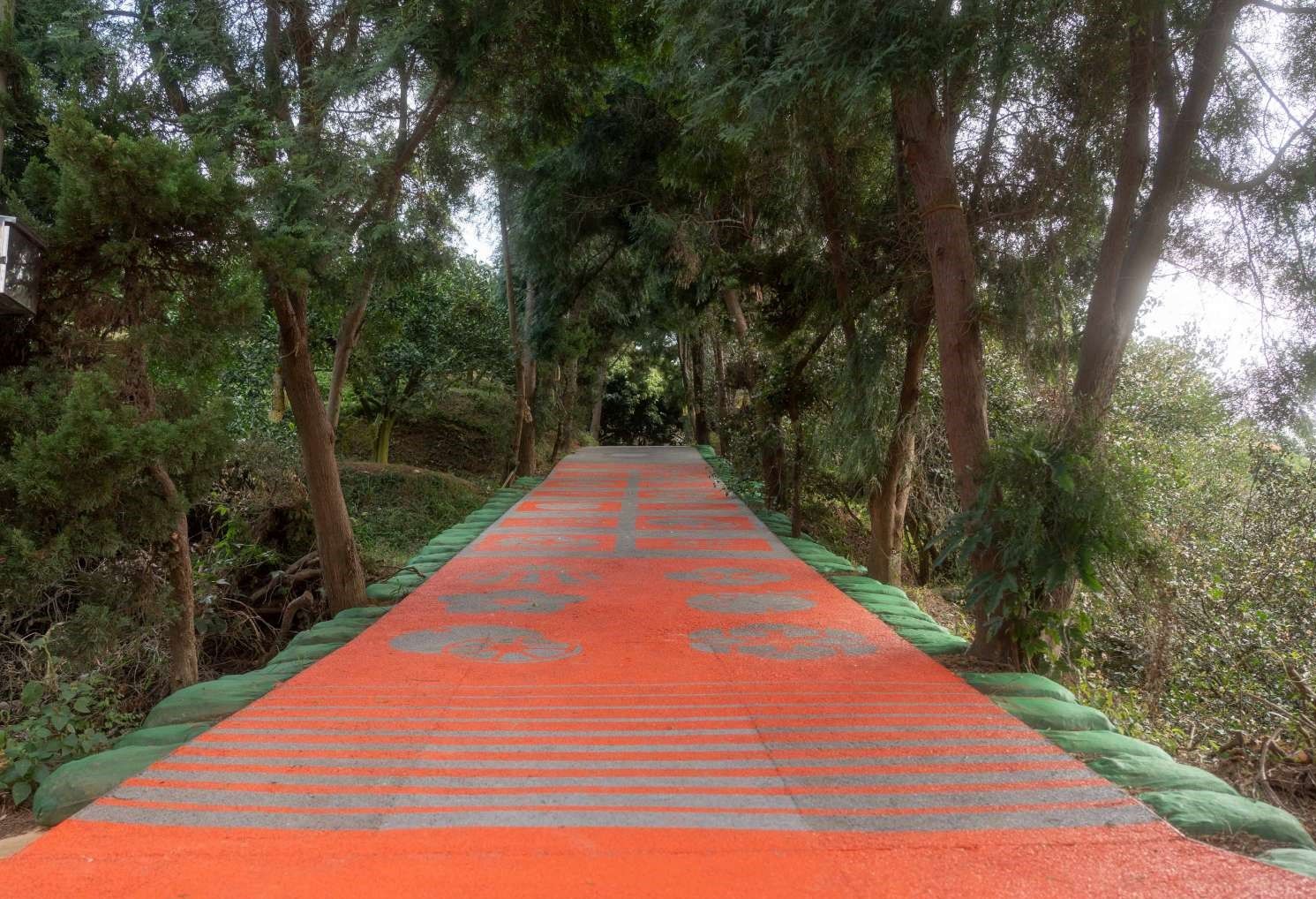 香山茄苳景觀步道全長約200公尺，工程包含透水混凝土步道、眺望平台、賞景平台及實木棧道。（圖／新竹市政府提供）