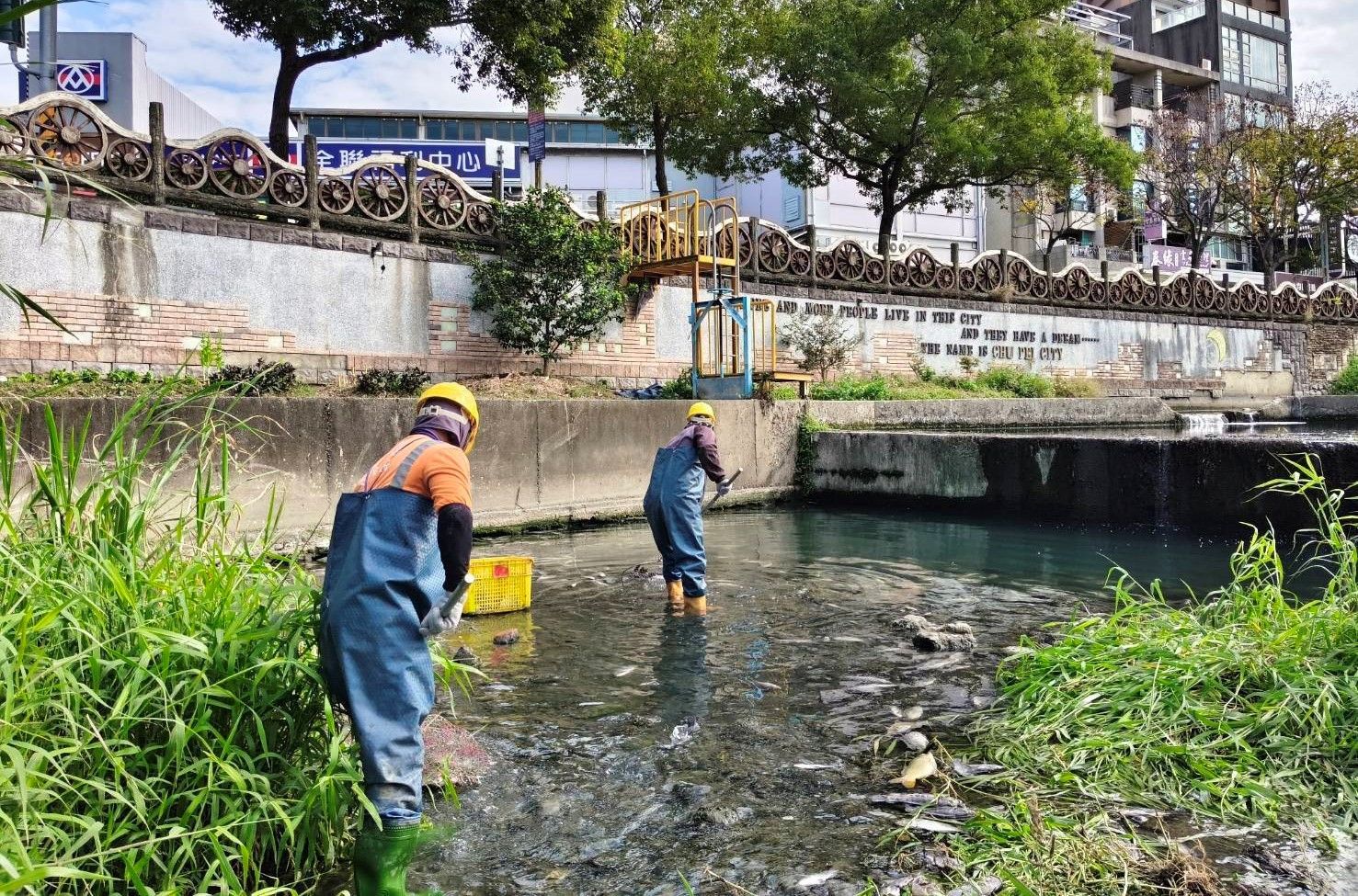 縣府工務處近日已邀集水利署等相關單位協商，每週放流1天增加至每週放流2天，以增加溪水水量。（圖／新竹縣政府提供）