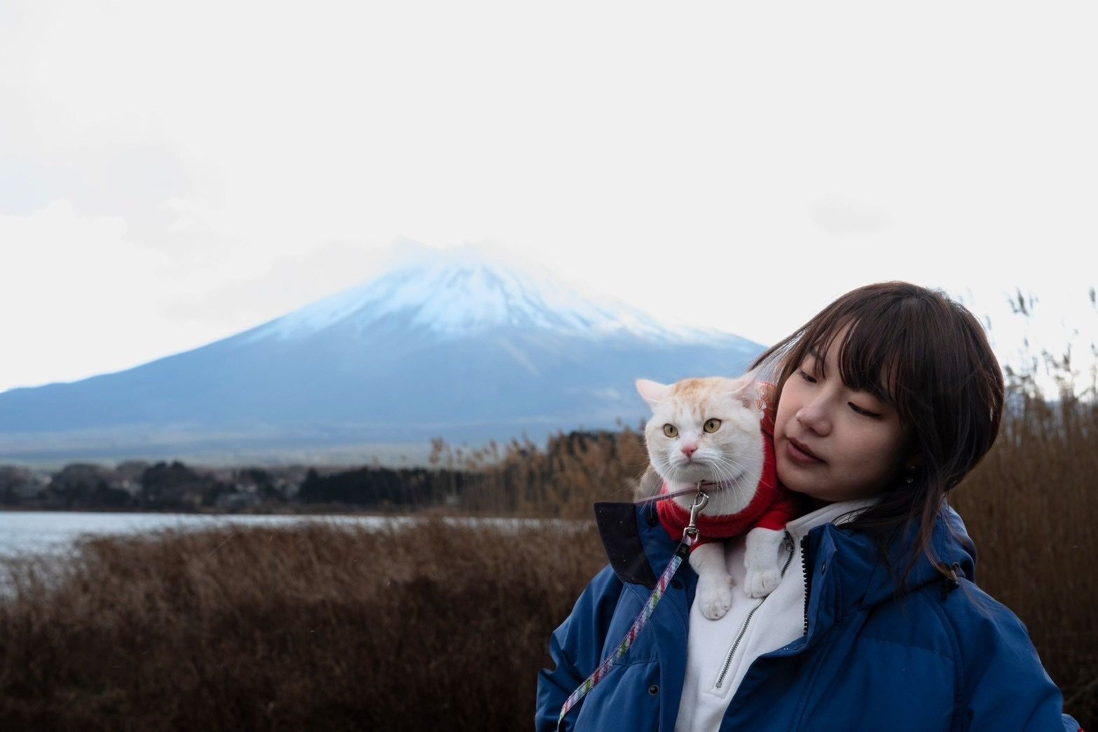 法律の道を断たれ婚約破棄を経て来日した台湾人女性、亡き父の遺志を胸に「山手線NPC」として東京の日常と絶景を発信し続ける。侯侯