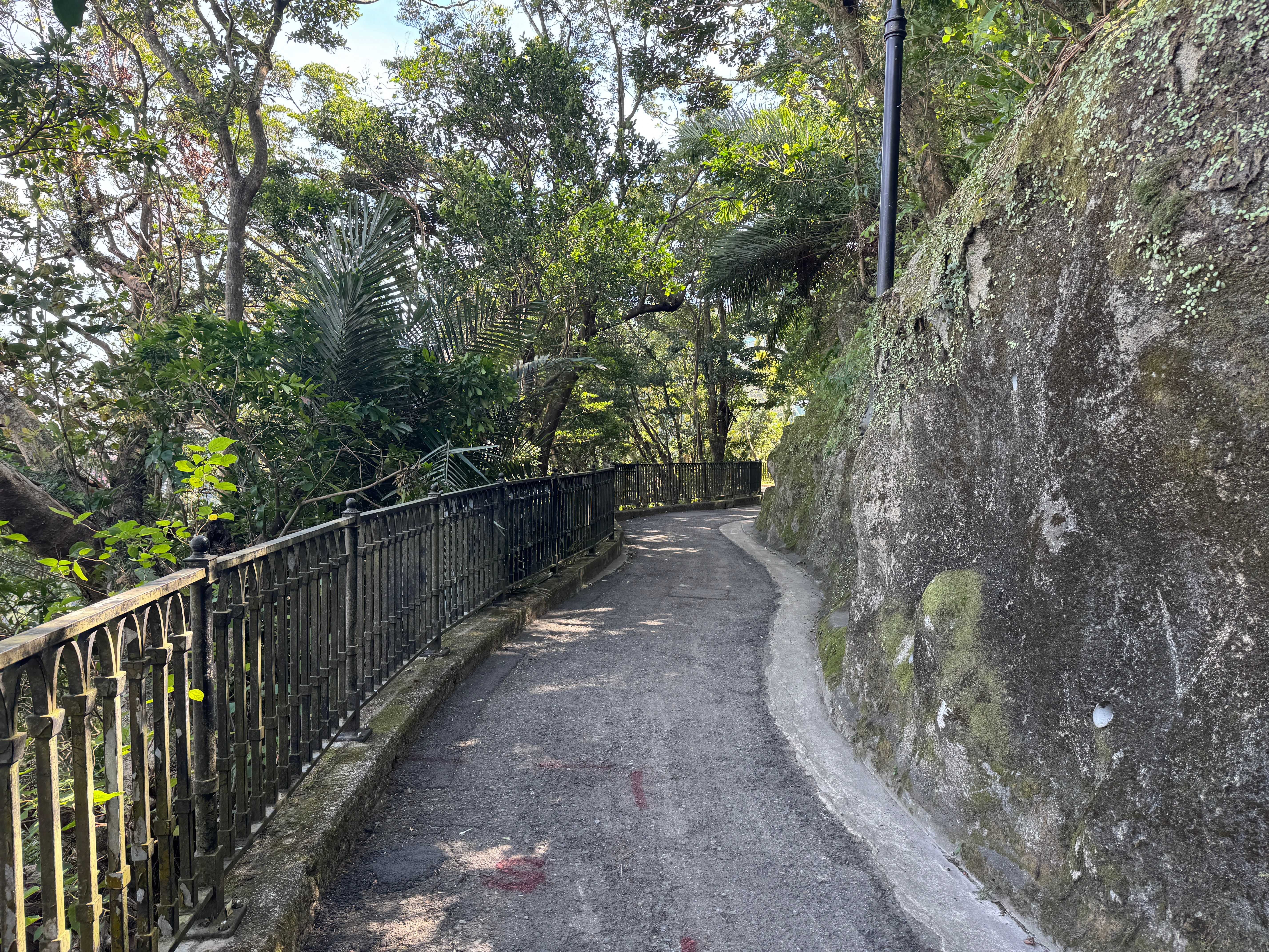 山頂纜車附近有步道可以漫步，冬日氣候宜人。（劉芯衣攝）