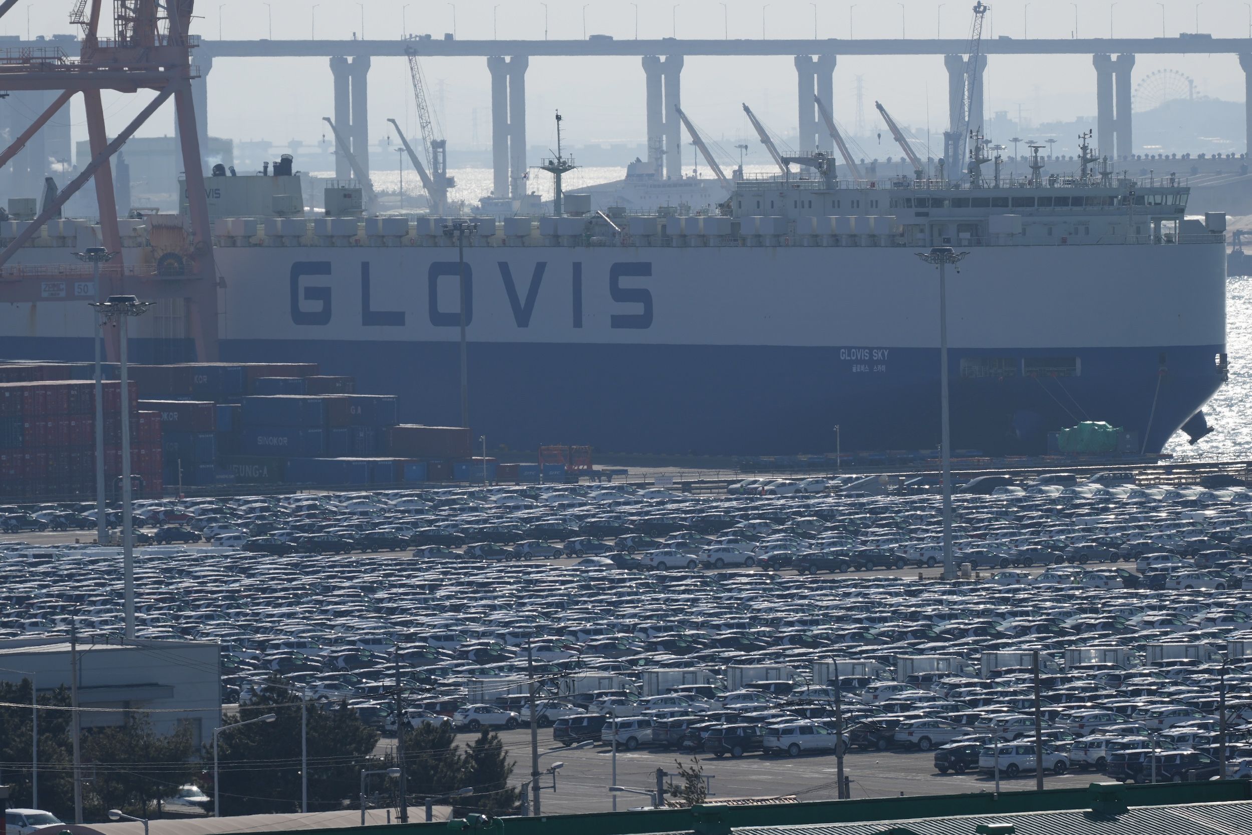 2026年1月27日，南韓平澤港碼頭上停滿了密密麻麻、準備出口的汽車。汽車貿易仍是美韓經濟關係中的敏感議題。（美聯社）