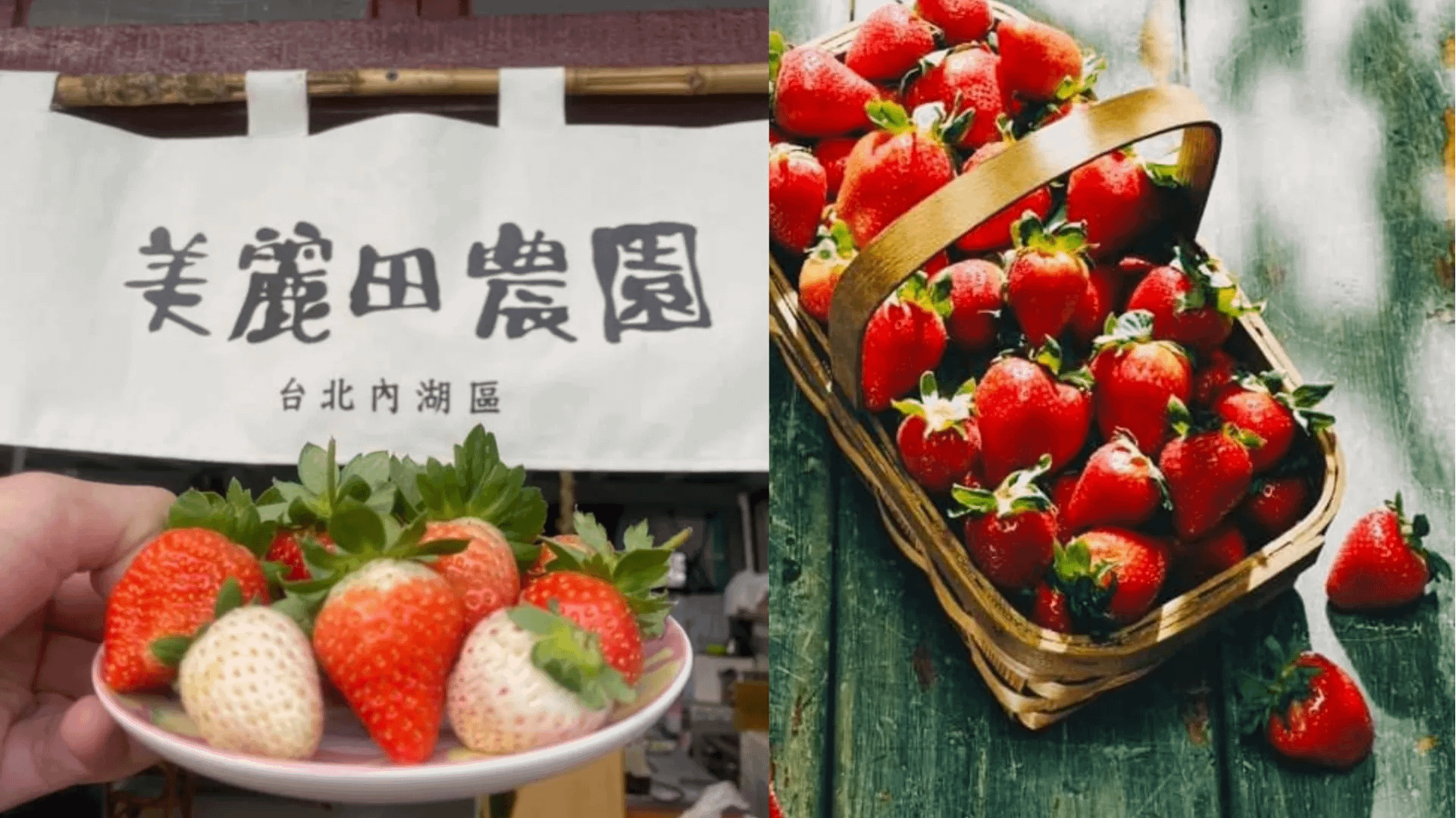 全台採草莓十大熱門產地Top 2：台北。（圖／取自美麗田農園Farmily臉書粉專）