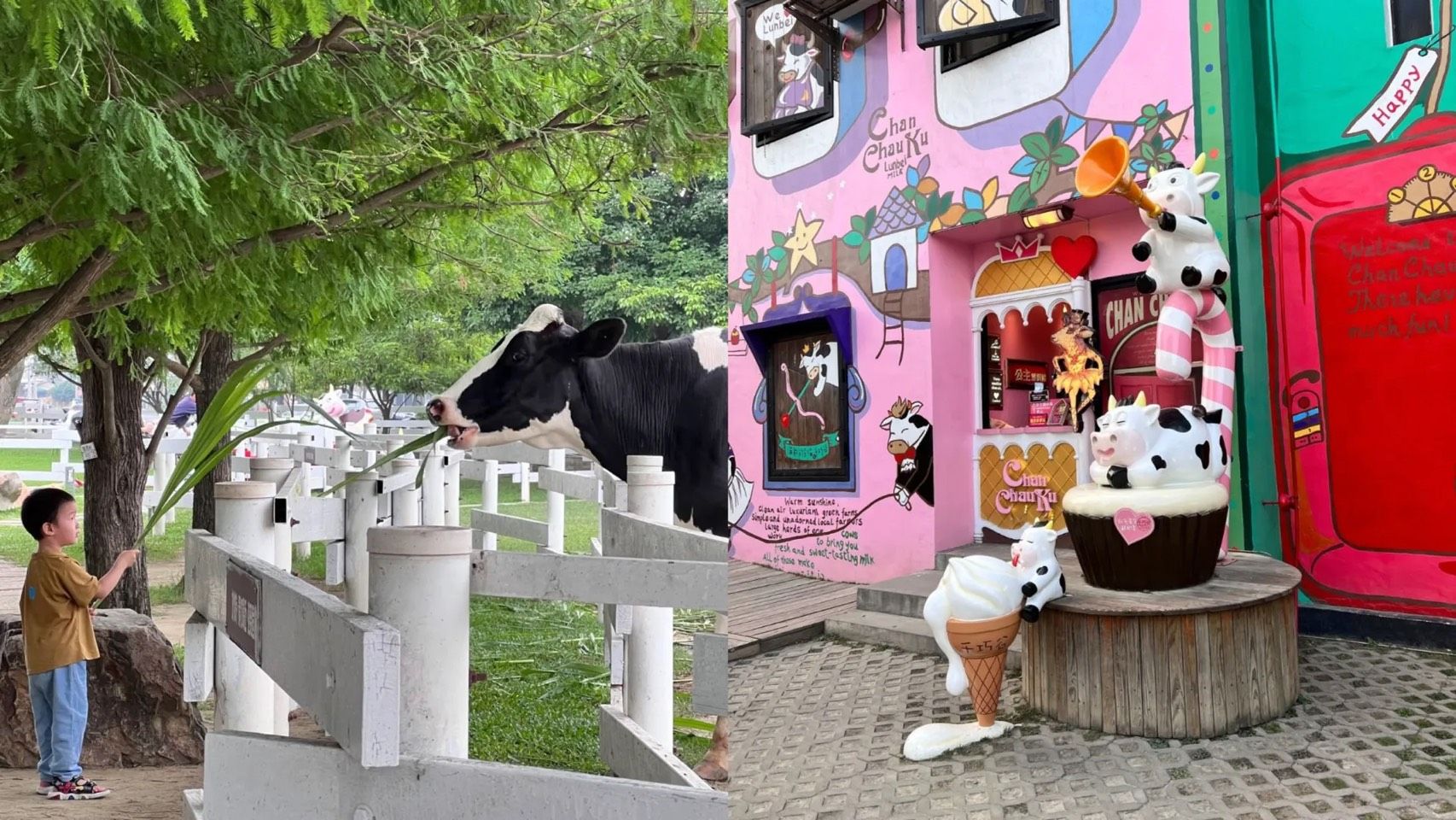 千巧谷牛樂園牧場。（圖／翻攝自臉書「千巧谷牛樂園牧場」）