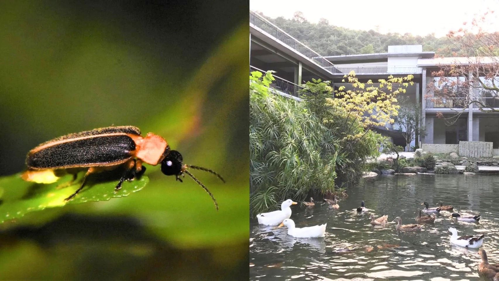 三富休閒農場。（圖／翻攝自臉書「三富休閒農場」）