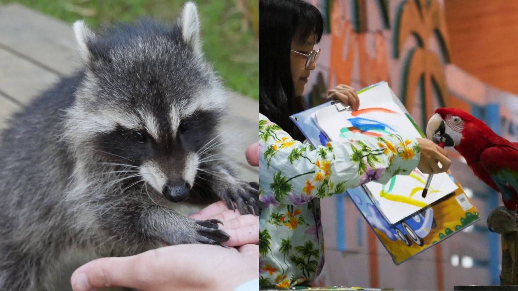 綠世界生態農場。（圖／翻攝自臉書「綠世界生態農場 ＦＡＣＥＢＯＯＫ」）