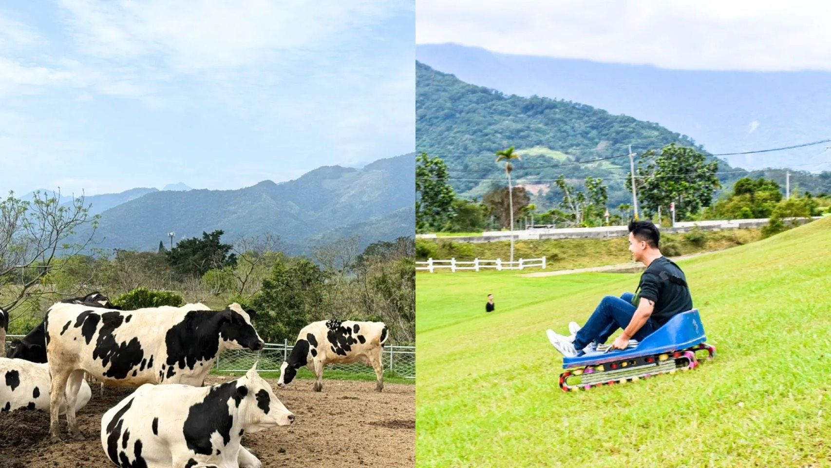 初鹿牧場。（圖／翻攝自臉書「初鹿牧場」）