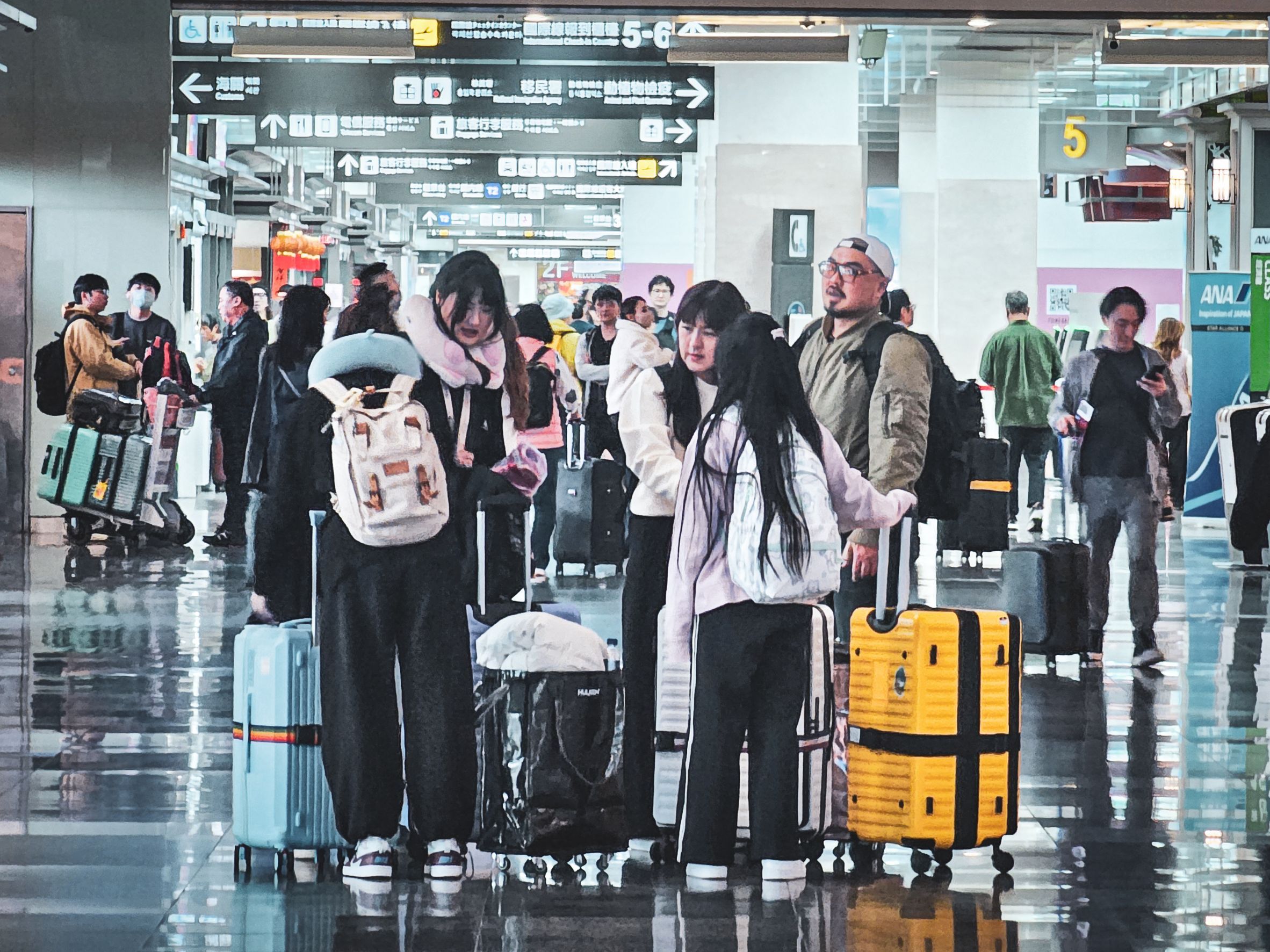 飛機,入境,出國,行李,機場,（資料照／洪煜勛攝）