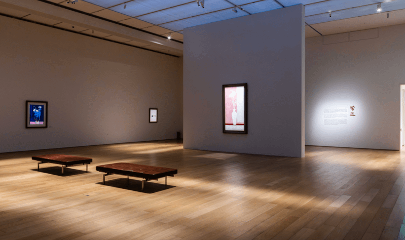 圖六：「常玉典藏展」首次聚焦常玉珍稀的「粉紅時期」作品，即日起展出至4 月 20 日。