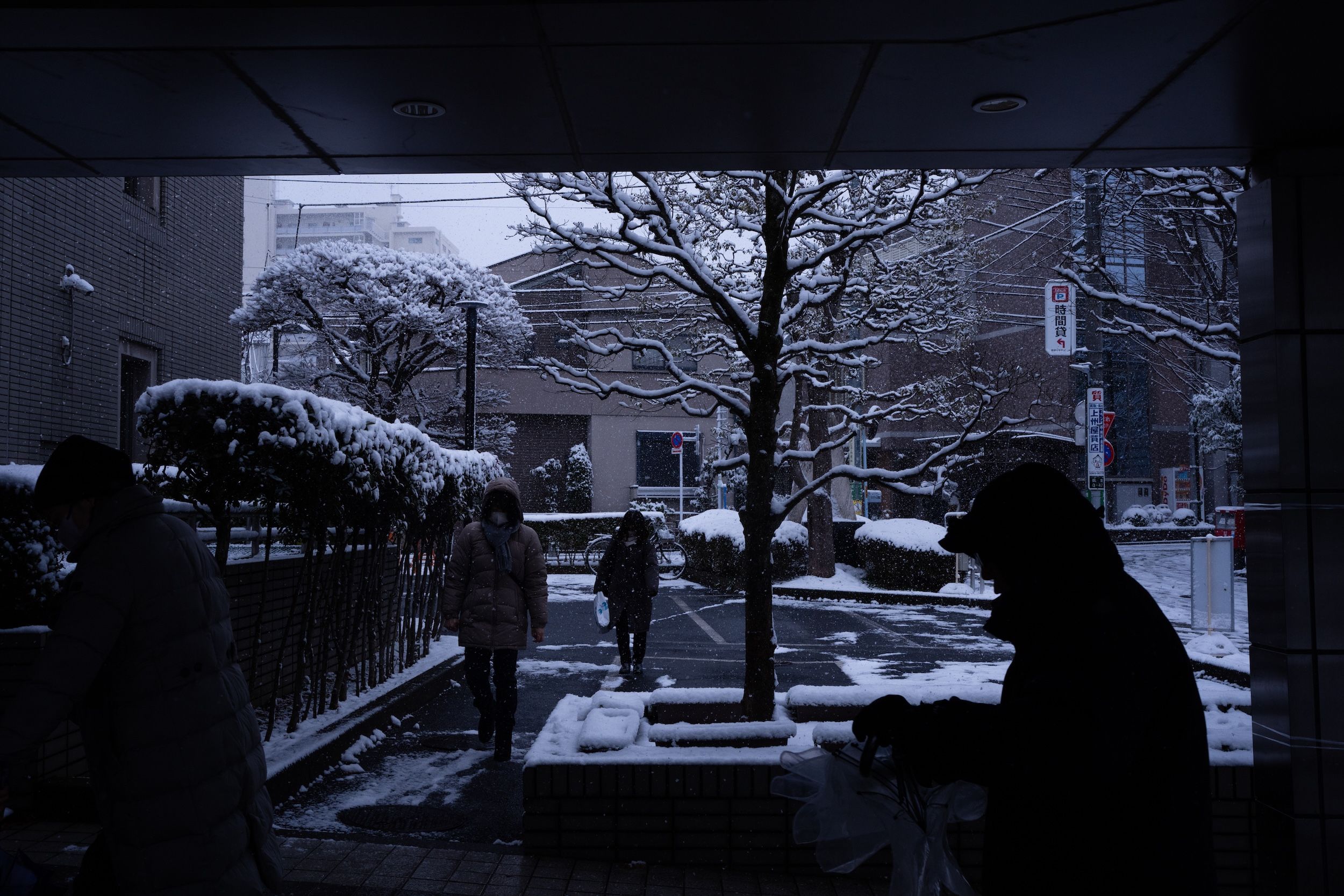 2026年2月8日，日本國會大選的投票日降下大雪。（美聯社）