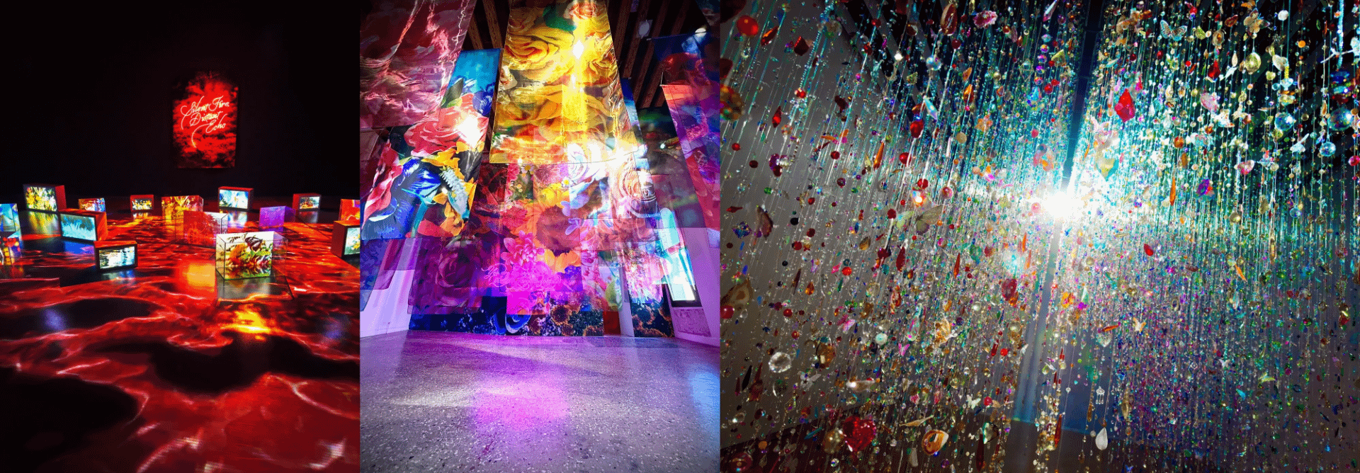 《生命的呼吸》（左起）、《生命的殘骸》與《光之細語，色彩之夢》。（圖／聯合數位文創提供）