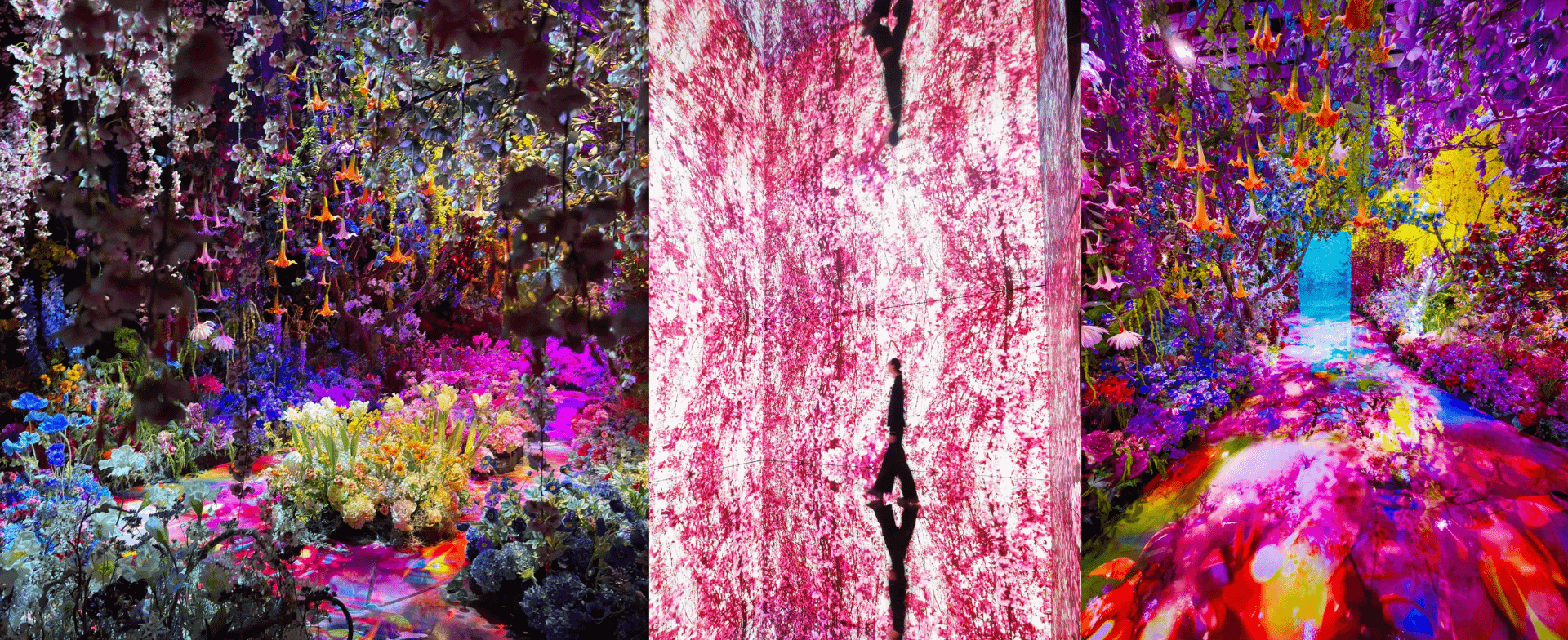 不同角度端看《深淵彼岸的夢》。（圖／聯合數位文創提供）