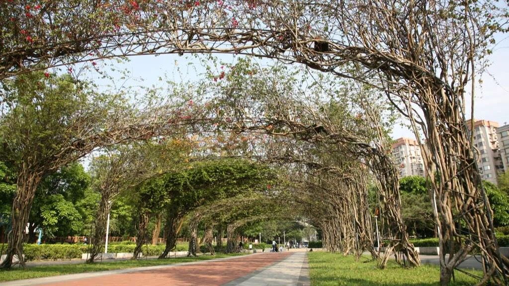 2026全台十大特色公園推薦：榮星花園公園。（圖／取自台北市政府觀光傳播局）