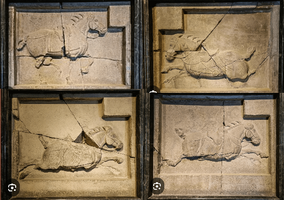 「昭陵六駿」石刻典藏於陝西碑林博物館，其中流失美國的「颯露紫」和「 拳毛騧」為複製品。（圖/維基百科）