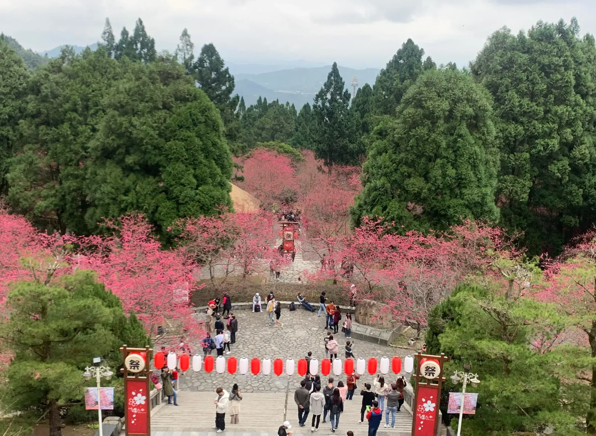 九族文化村。（圖／取自九族櫻花季臉書）