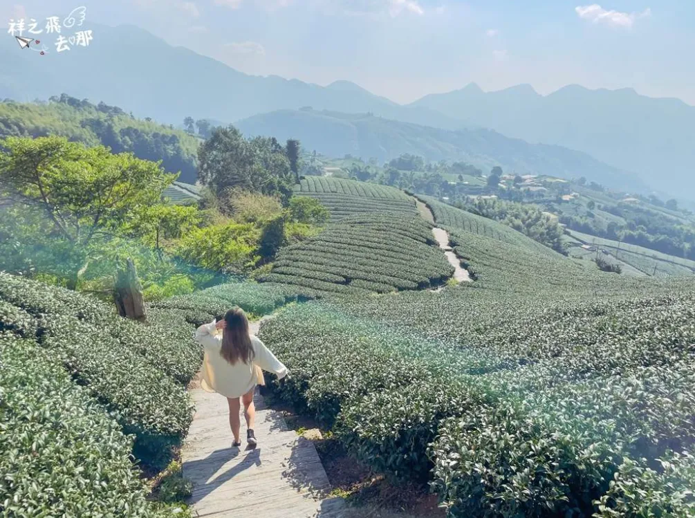全台免費觀景台推薦｜嘉義：瑞峰1314觀景台。（圖／輕旅行提供）