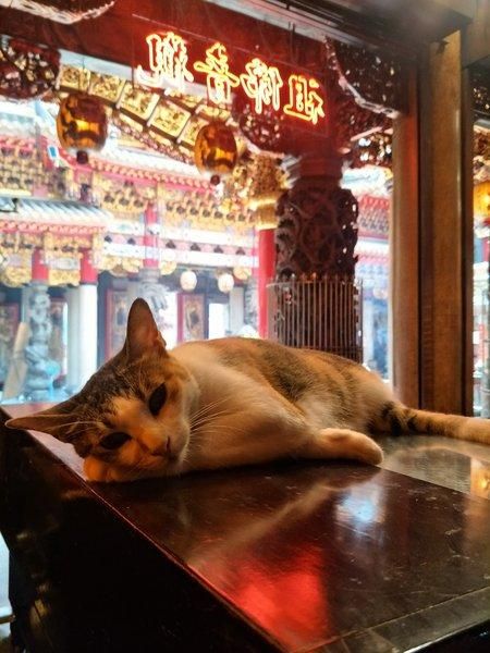 新北三重景點推薦：義天宮。（圖／取自三重義天宮官網）