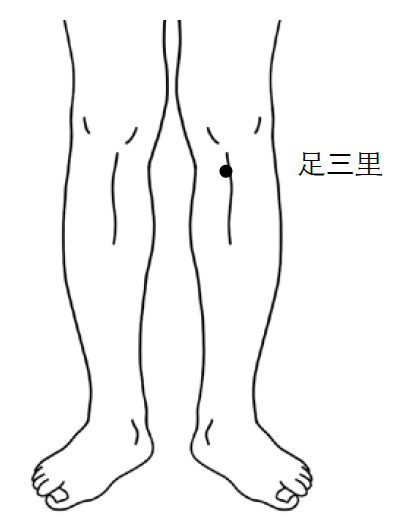 足三里穴（圖／大是文化提供）