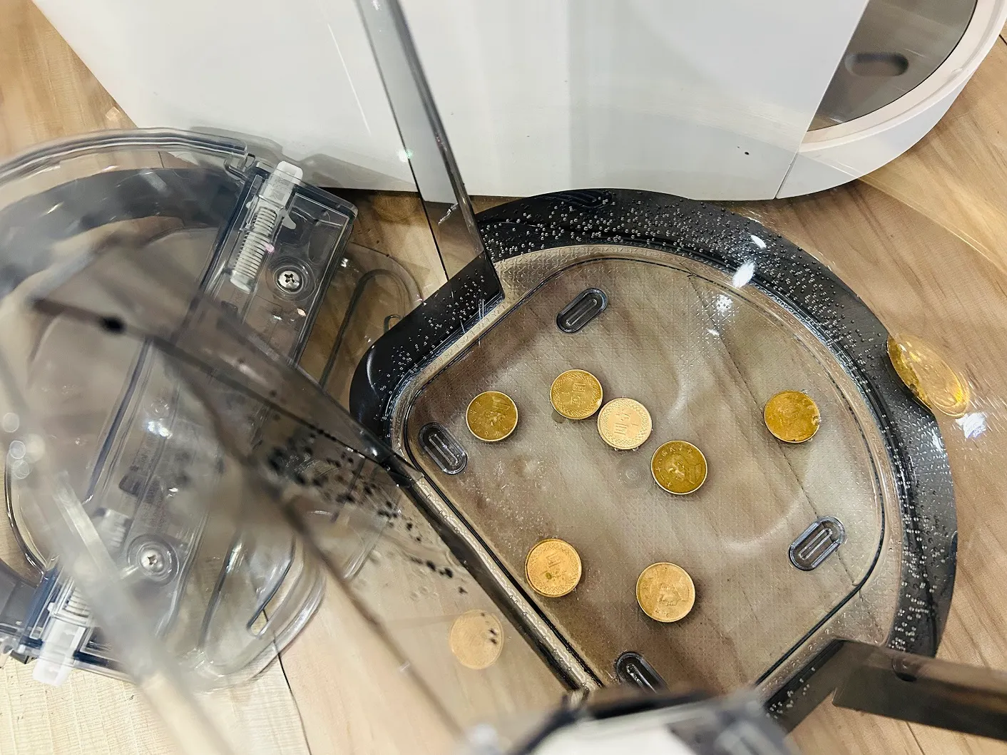 在水箱內放置幾枚一元硬幣，可降低細菌繁殖速度（圖／486先生提供）