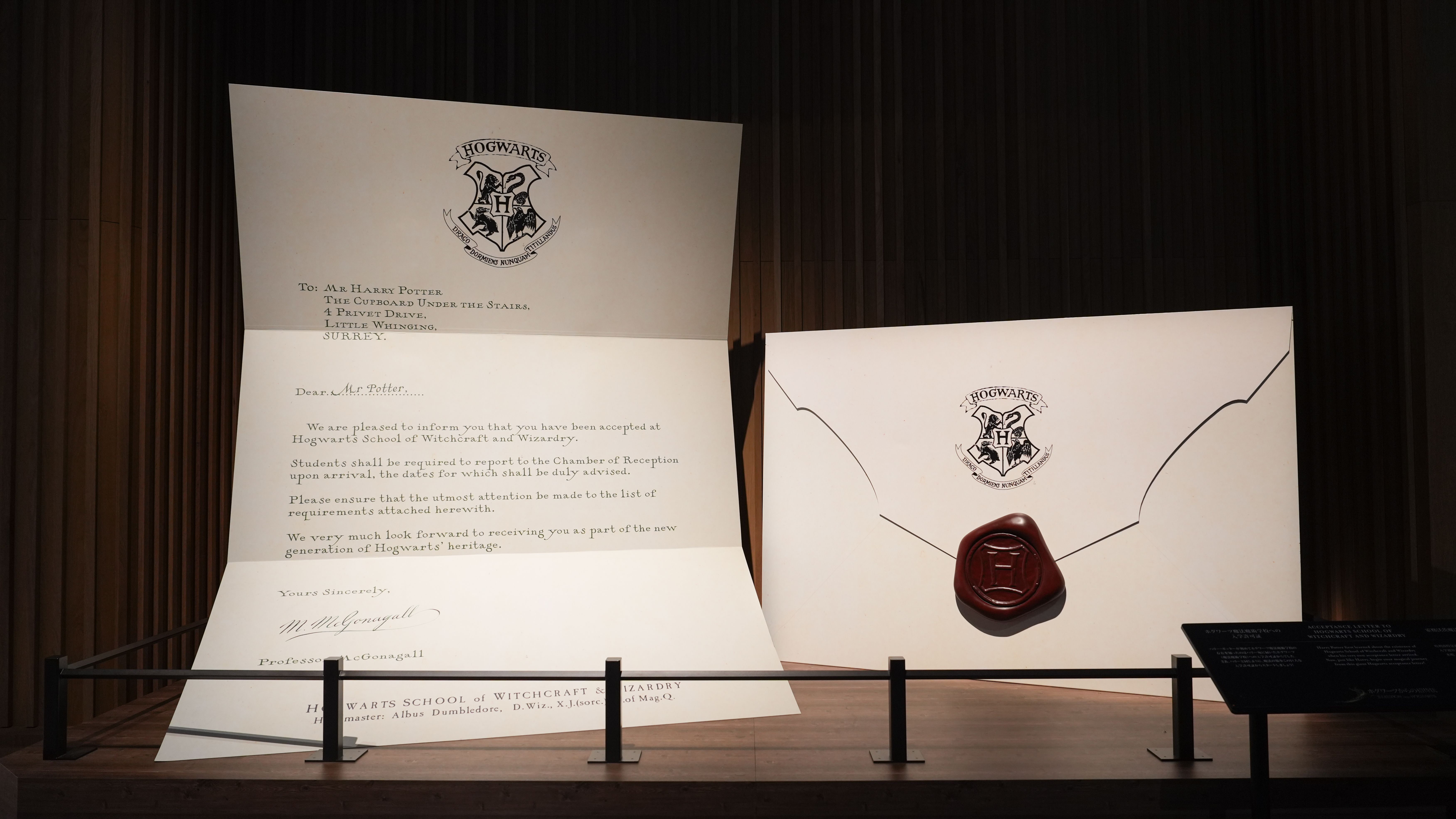 映画公開25周年を祝し、組分けの儀式や魔法の舞台裏を体感できる特別企画がスタジオツアー東京で開幕。（Riu＠P_photo_555）