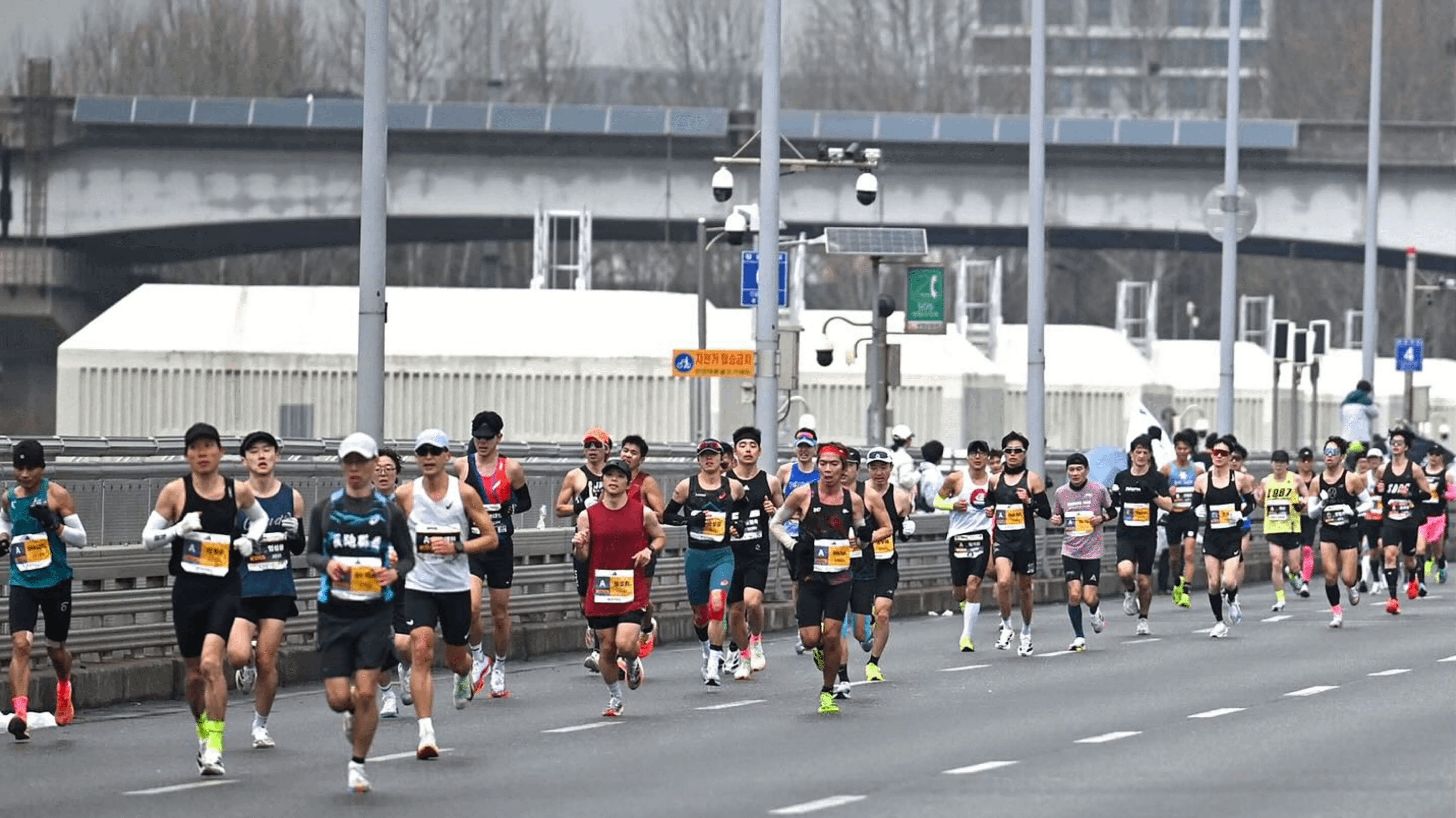 2026上半年國際馬拉松賽事NO.8：首爾馬拉松。（圖／取自臉書Seoul Marathon）