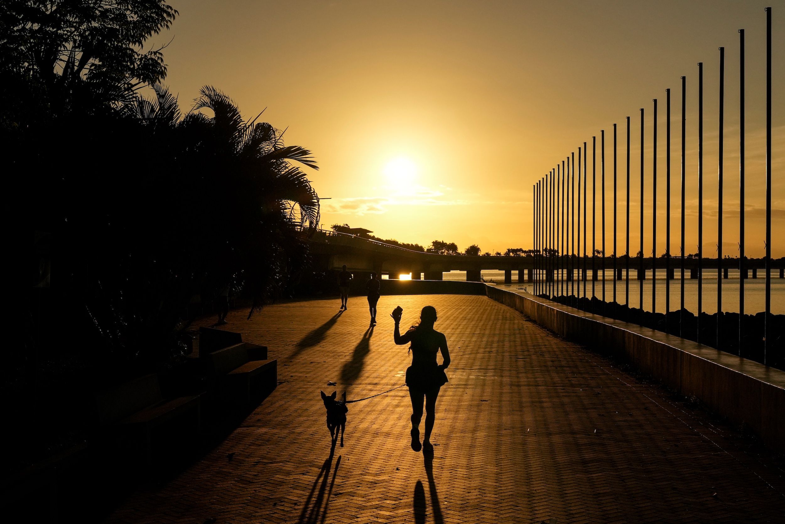 2026年3月25日，巴拿馬一名跑步的民眾和她的狗。（美聯社）