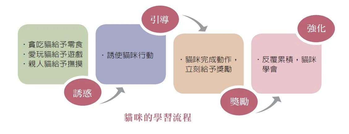 （圖／商周出版提供）