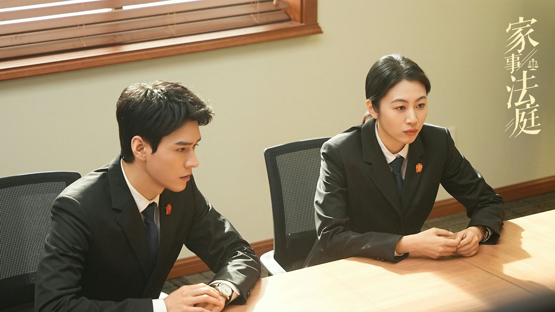 2026必看最新陸劇推薦 10 、《家事法庭》劇情亮點評價（圖／取自imdb）