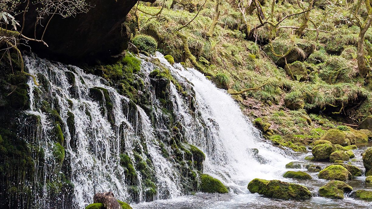 雨水與雪水滲入火山熔岩層後，經過長達數十年的匯集流出，形成元滝伏流水。（圖／吳茗世提供）