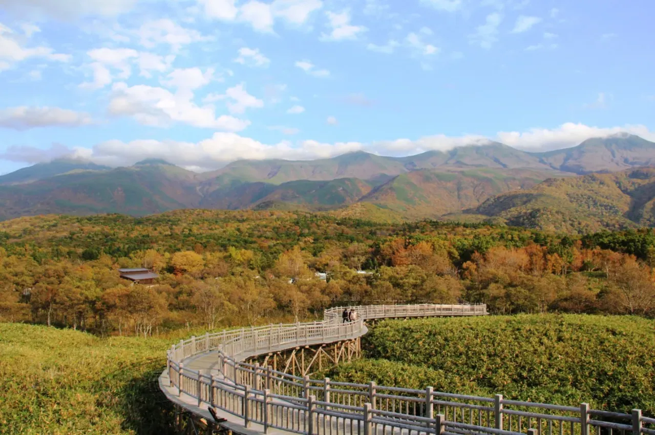 No.7 知床。（圖／取自北海道觀光旅遊網）