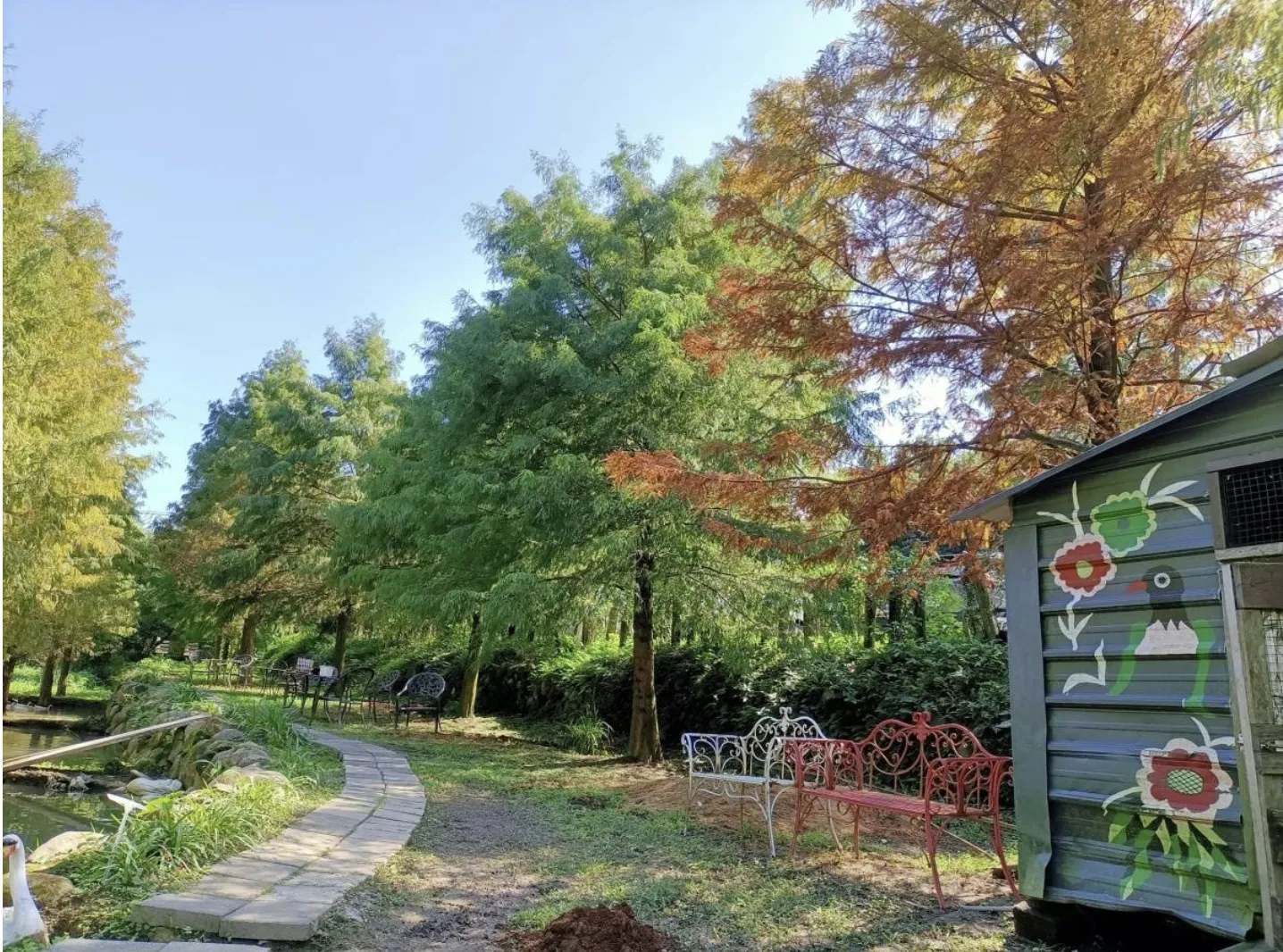 北部親子農場｜鹿羽松牧場（金山）（圖／鹿羽松牧場粉絲專頁）
