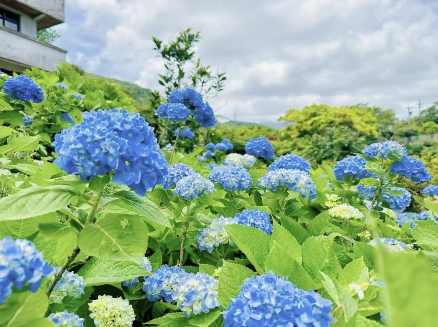 北部親子農場｜遠足生態農場（金山）（圖／遠足生態農場 IG）