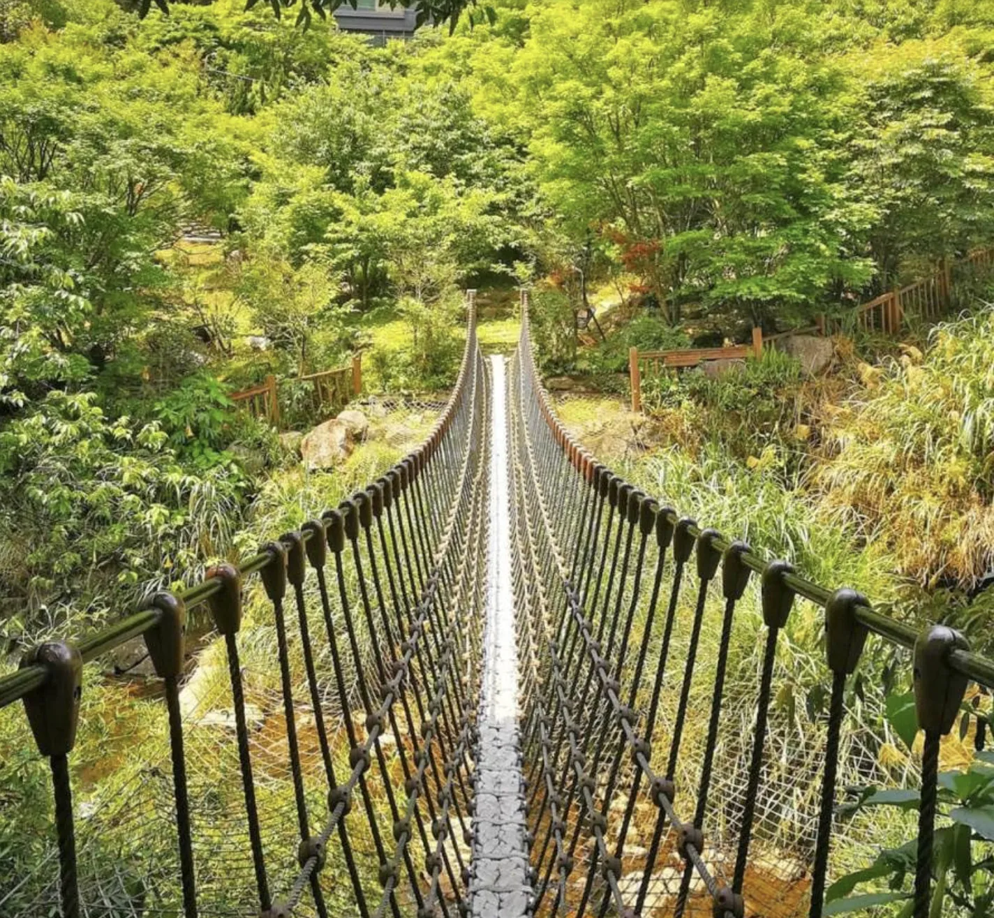 北部親子農場｜福田園農場（陽明山）（圖／福田園農場粉絲專頁）