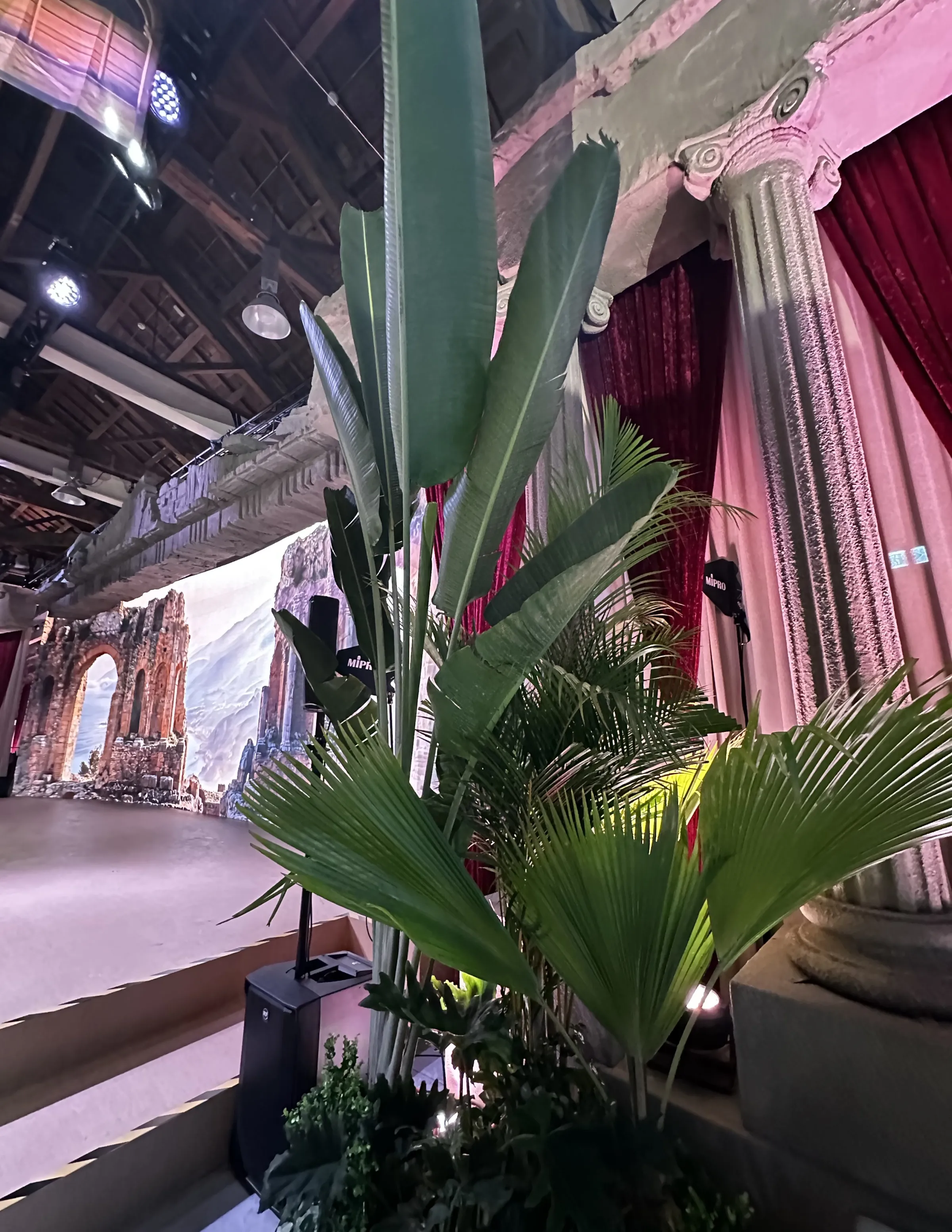 現場一株株的植物，都是特別從屏東的「辜嚴倬雲植物保種中心」運送而來。（張瀞文攝）