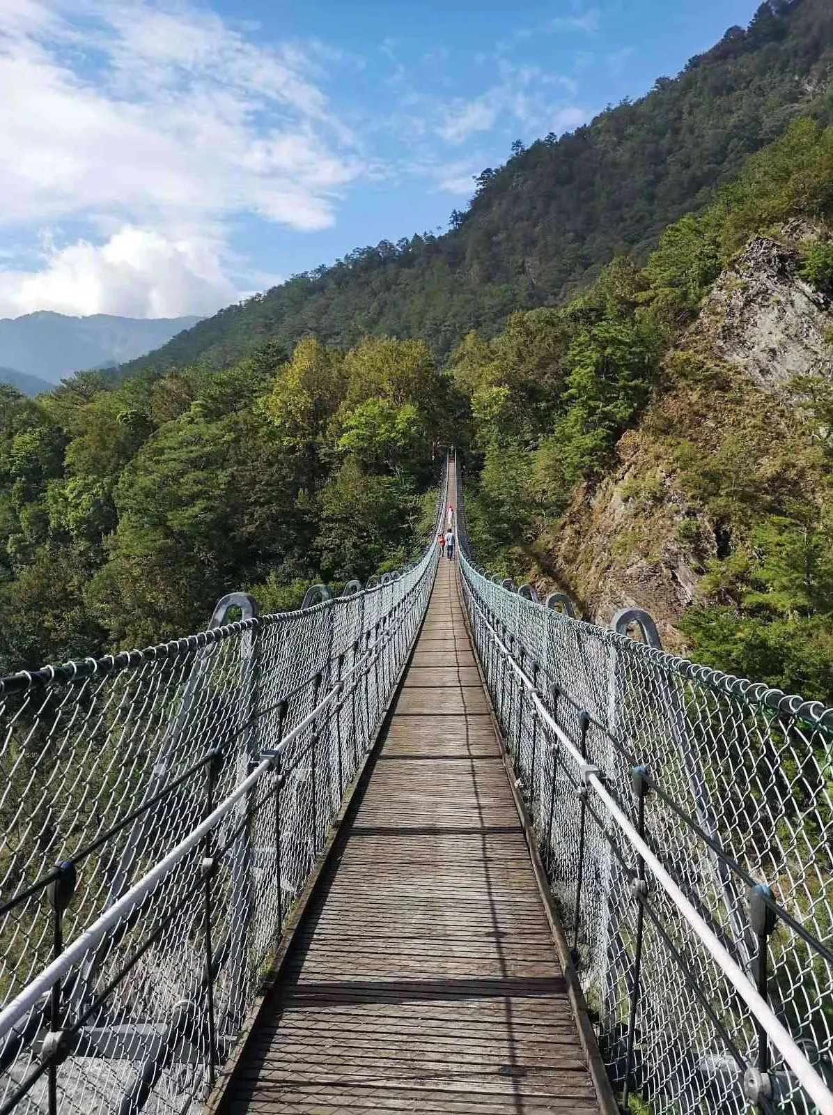 NO 10奧萬大森林遊樂園區。（圖／翻攝自南投旅遊網）