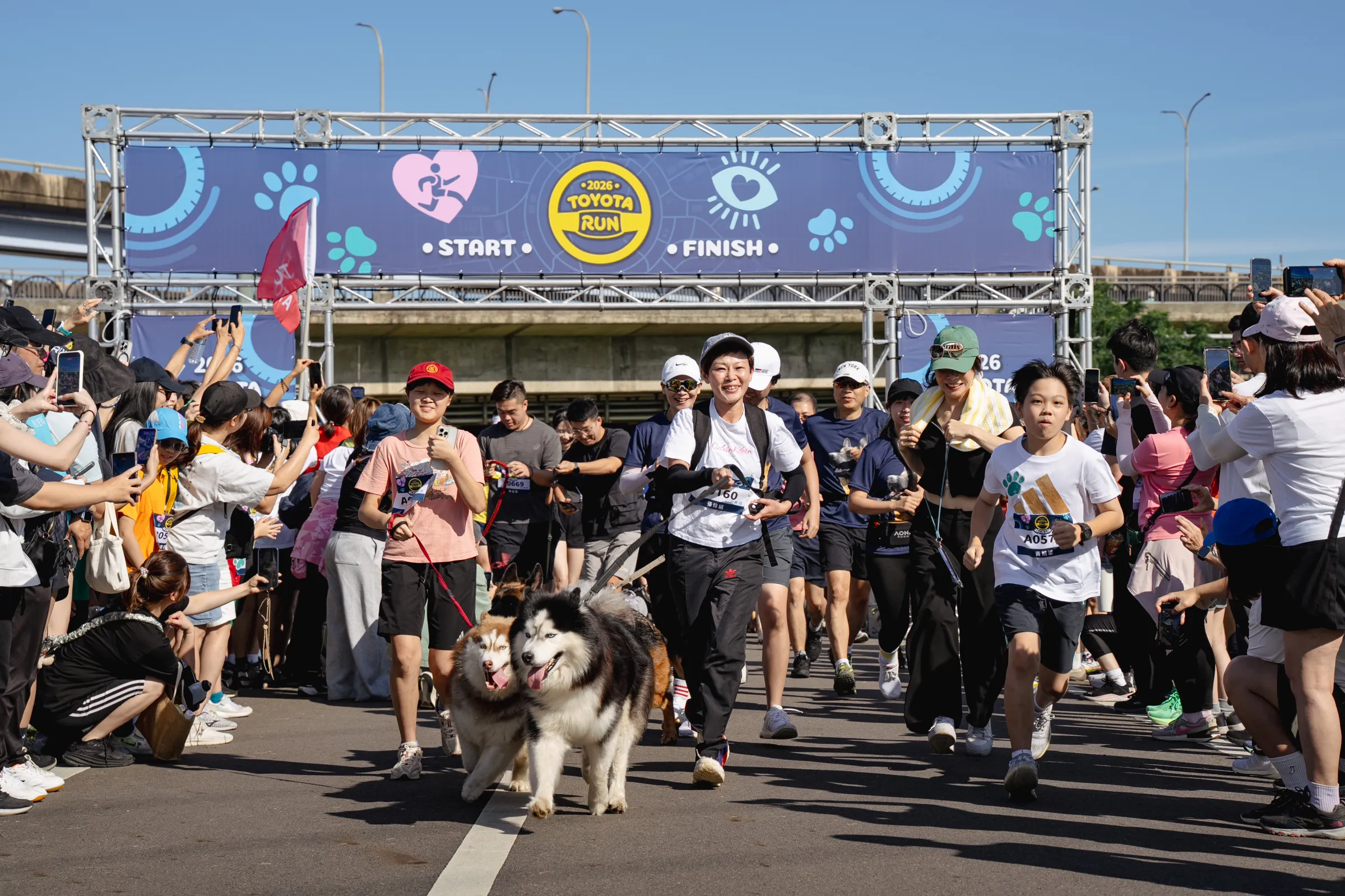 參與者分別加入 3K 萌寵組與 5K 樂跑組，許多民眾全家出動，帶著心愛的毛小孩在草地上奔跑。(圖:和泰汽車)