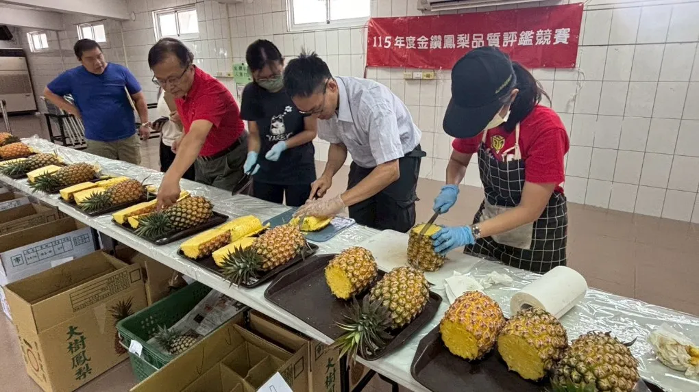 專家評審進行金鑽鳳梨評鑑情形。（圖/高市農業局提供）
