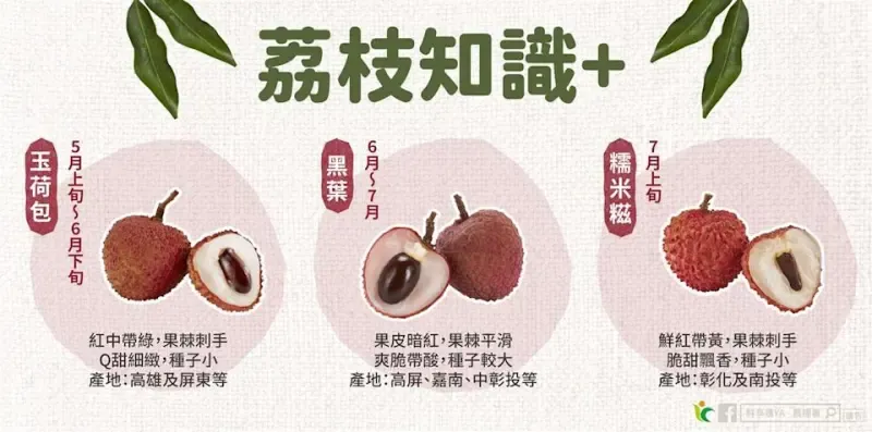 台灣荔枝的品種有哪些？（圖／翻攝自臉書「鮮享農YA - 農糧署」）