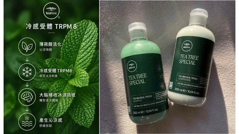 來自美國專業沙龍品牌 Paul Mitchell 的 Tea Tree 茶樹系列，多年來深受全球消費者喜愛。其中最令人印象深刻的，莫過於洗髮時所帶來的獨特沁涼感受。(肯邦國際提供)