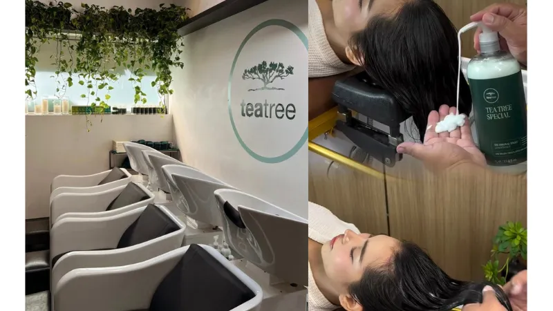 Paul Mitchell Tea Tree 希望透過經典的沁涼體驗，陪伴消費者在忙碌生活中找到片刻喘息，讓洗髮與沐浴不只是清潔程序。(肯邦國際提供)