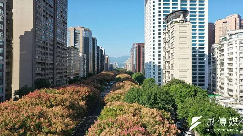 甲山林的一站式比較服務，提供多個市中心指標建案，從基地條件、建築團隊到區域發展與生活機能，都能進行系統性的比較分析。