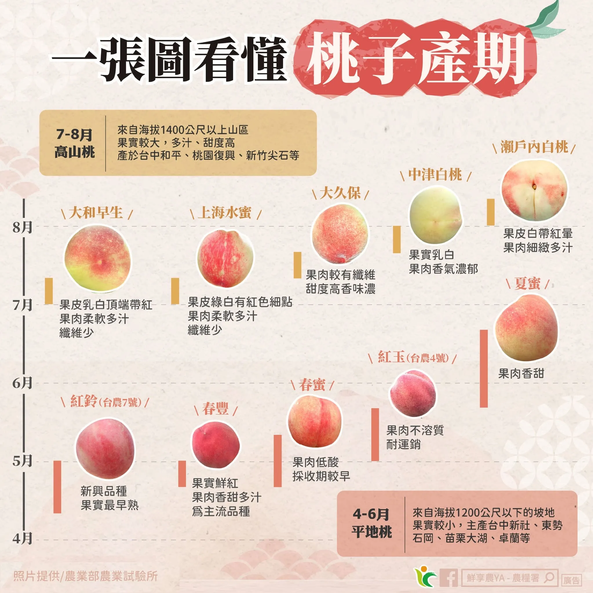 桃子產期。（圖／取自臉書粉專「鮮享農YA - 農糧署」）