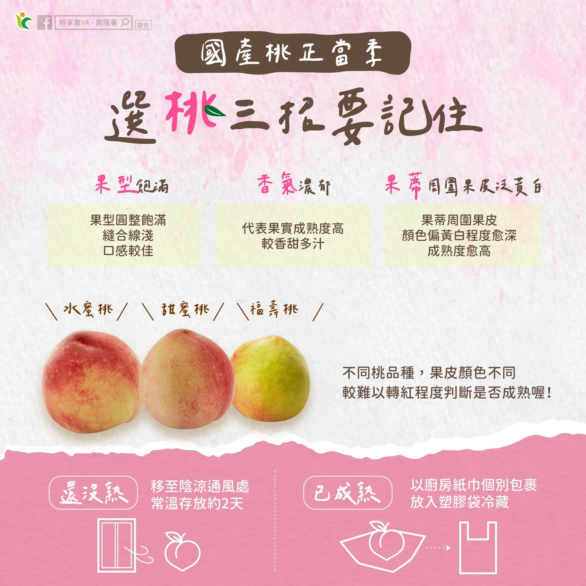 選桃技巧。（圖／取自臉書粉專「鮮享農YA - 農糧署」）