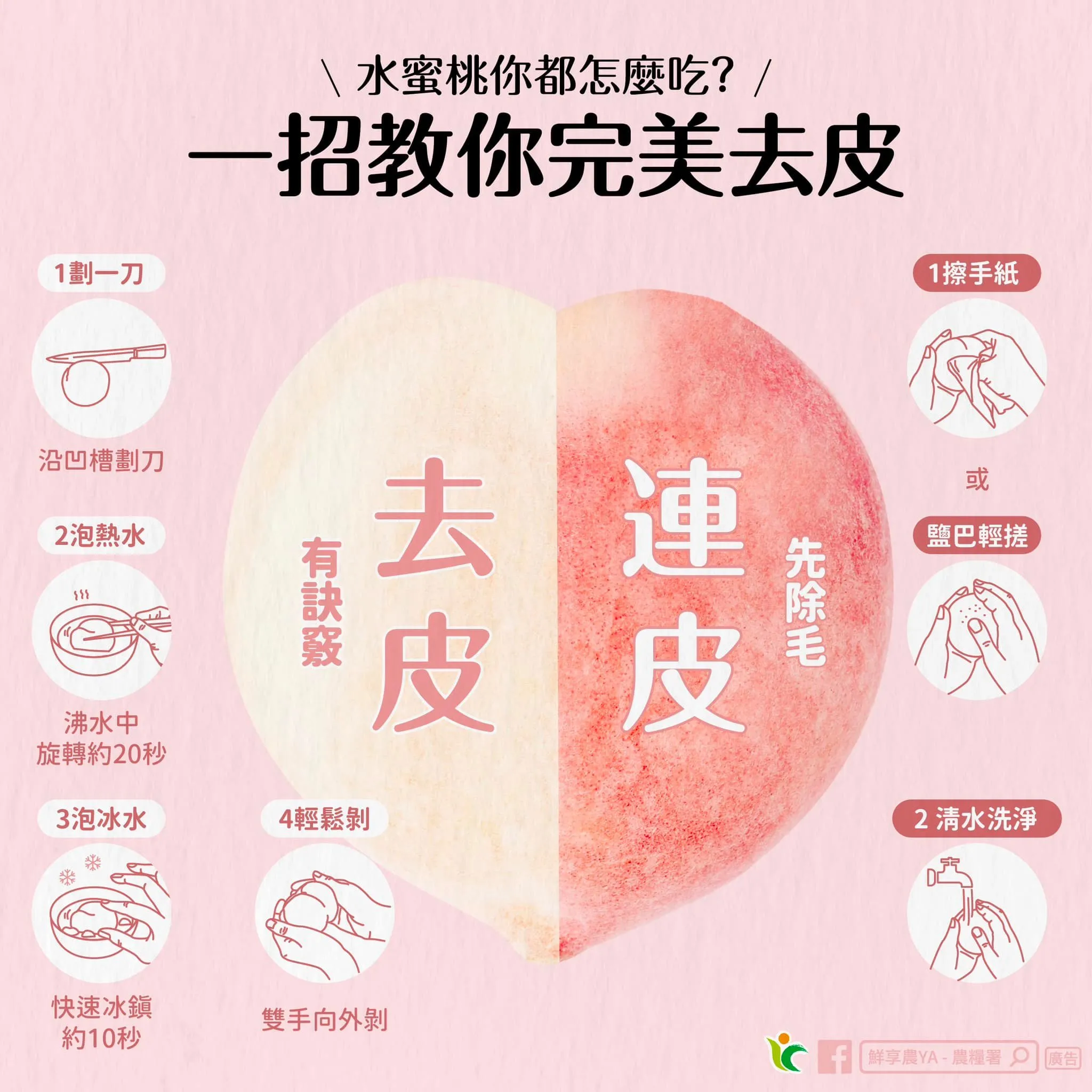 水蜜桃去皮方式。（圖／取自農糧署）
